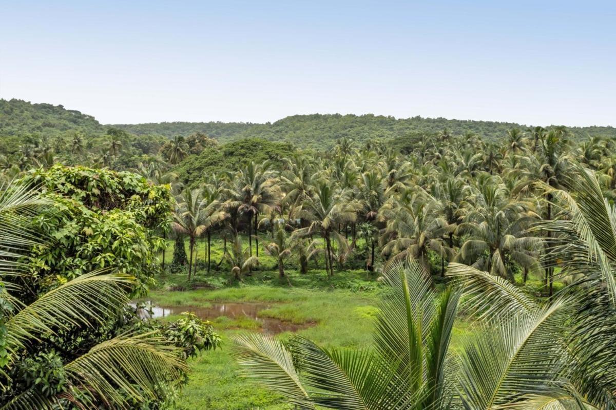 Ikigai Luxury Stays กัวเก่า ภายนอก รูปภาพ